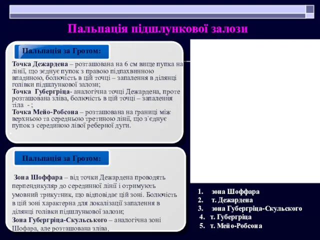 Пальпація підшлункової залози зона Шоффара т. Дежардена зона Губергріца-Скульского 4.