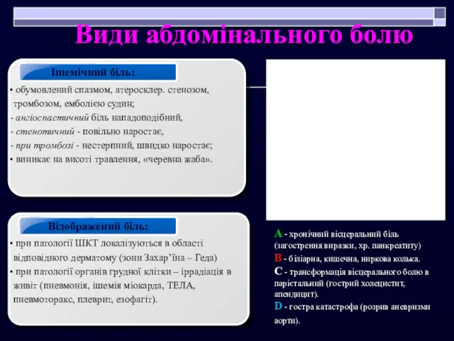 Види абдомінального болю: Ішемічний біль: обумовлений спазмом, атеросклер. стенозом, тромбозом,