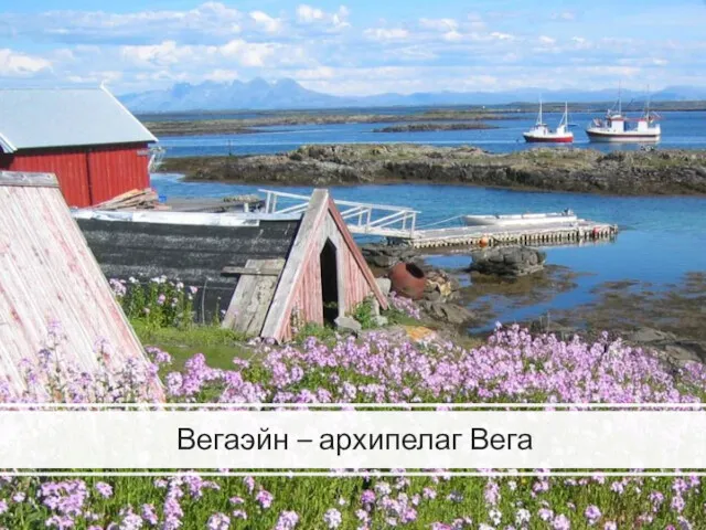 Вегаэйн – архипелаг Вега