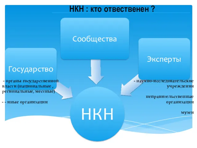 НКН : кто отвественен ? - органы государственной власти (национальные