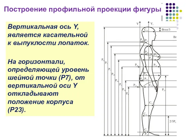 Построение профильной проекции фигуры Вертикальная ось Y, является касательной к