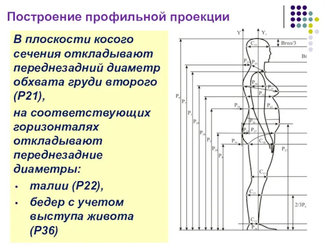 Построение профильной проекции В плоскости косого сечения откладывают переднезадний диаметр