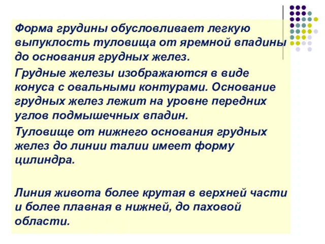 Форма грудины обусловливает легкую выпуклость туловища от яремной впадины до