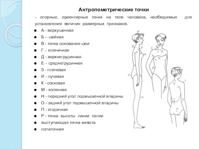 Антропометрические точки - опорные, ориентирные точки на теле человека, необходимые для установления величин