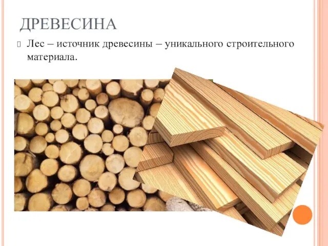 ДРЕВЕСИНА Лес – источник древесины – уникального строительного материала.