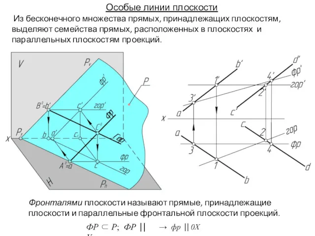 Особые линии плоскости Из бесконечного множества прямых, принадлежащих плоскостям, выделяют