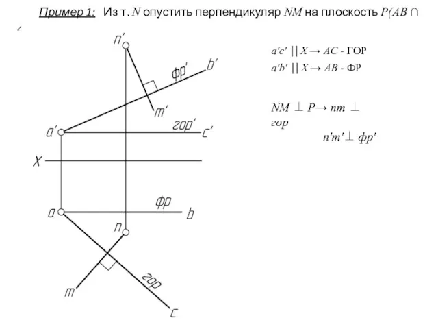 NM ⊥ P→ nm ⊥ гор n'm'⊥ фр' Пример 1: