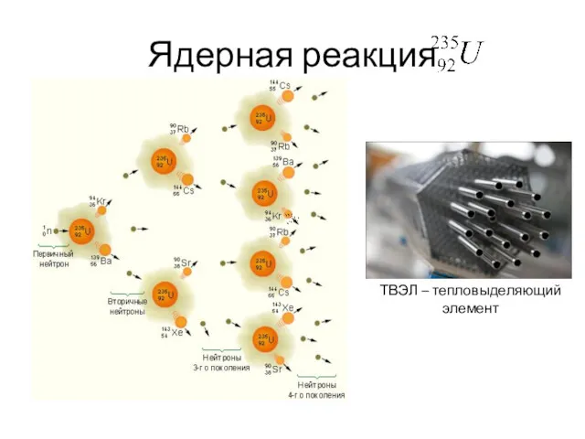 Ядерная реакция ТВЭЛ – тепловыделяющий элемент