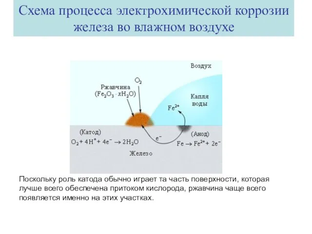 Схема процесса электрохимической коррозии железа во влажном воздухе Поскольку роль