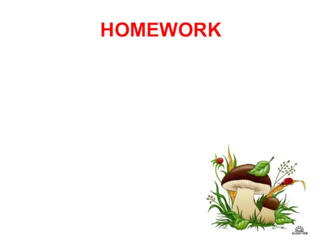 HOMEWORK