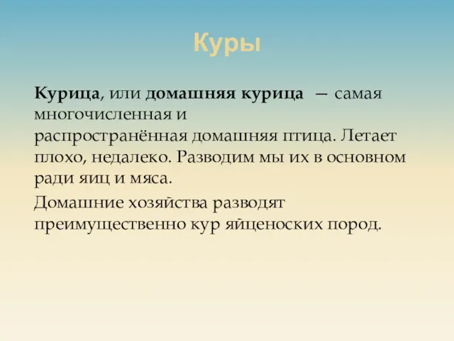 Куры Курица, или домашняя курица — самая многочисленная и распространённая