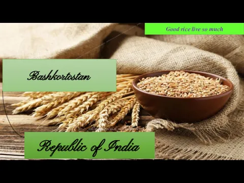 Bashkortostan Republic of India Good rice live so much