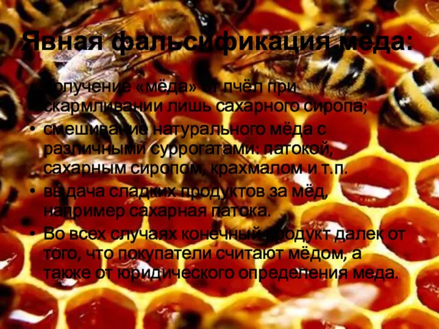Явная фальсификация мёда: получение «мёда» от пчёл при скармливании лишь