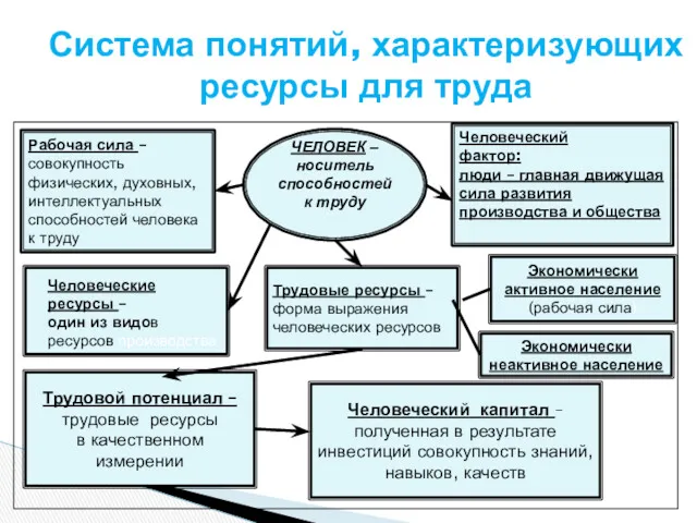 Система понятий, характеризующих ресурсы для труда Рабочая сила – совокупность