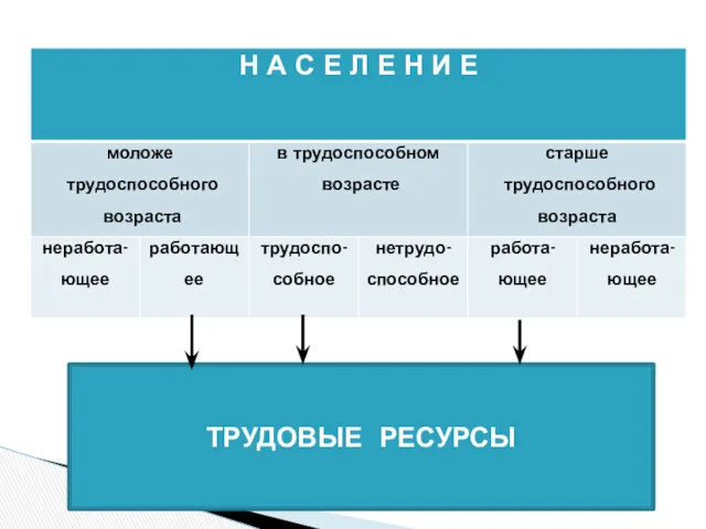 ТРУДОВЫЕ РЕСУРСЫ