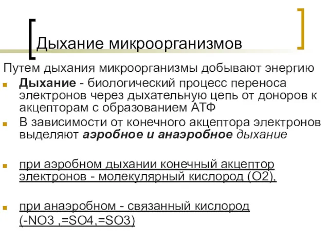 Дыхание микроорганизмов Путем дыхания микроорганизмы добывают энергию Дыхание - биологический