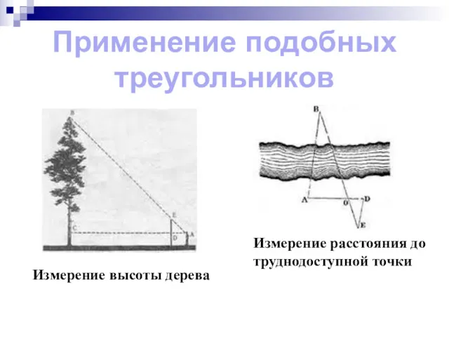 Применение подобных треугольников Измерение высоты дерева Измерение расстояния до труднодоступной точки