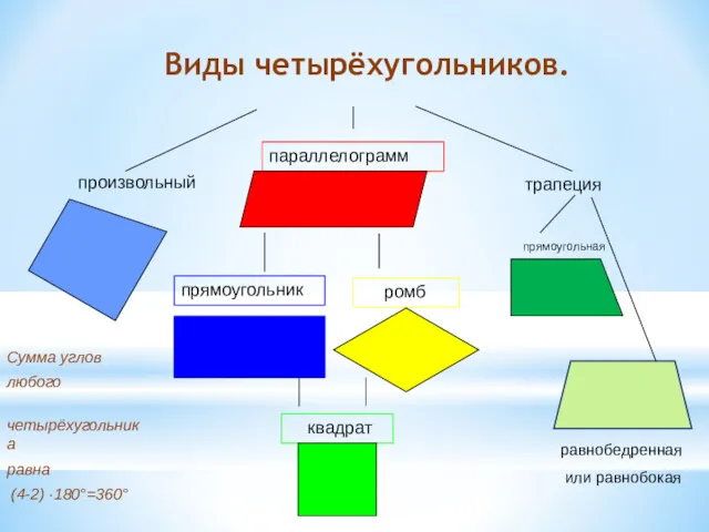 Виды четырёхугольников. параллелограмм прямоугольник ромб квадрат трапеция произвольный Сумма углов
