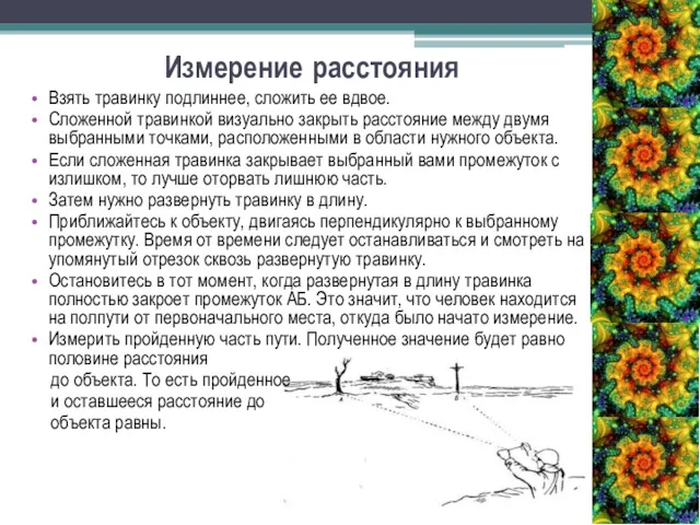 Измерение расстояния Взять травинку подлиннее, сложить ее вдвое. Сложенной травинкой