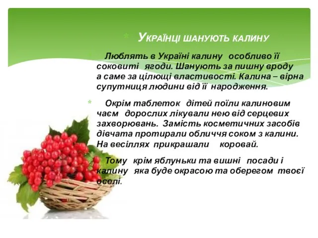 Українці шанують калину Люблять в Україні калину особливо її соковиті