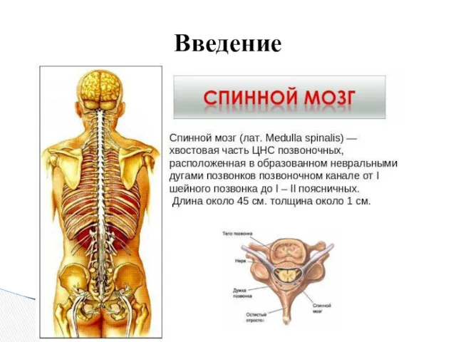 Введение