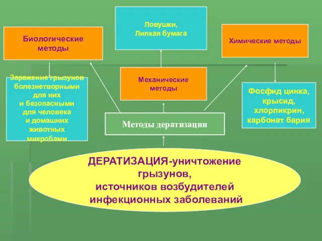 ДЕРАТИЗАЦИЯ-уничтожение грызунов, источников возбудителей инфекционных заболеваний Биологические методы Фосфид цинка, крысид, хлорпикрин, карбонат