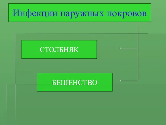 Инфекции наружных покровов СТОЛБНЯК БЕШЕНСТВО