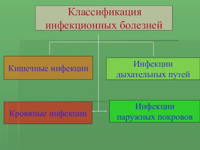 Классификация инфекционных болезней Кишечные инфекции Инфекции дыхательных путей Кровяные инфекции Инфекции наружных покровов