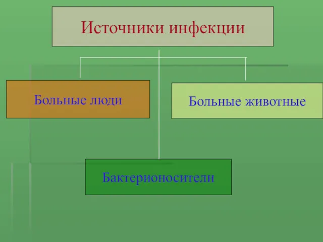 Источники инфекции Больные люди Больные животные Бактерионосители