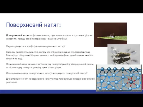 Поверхневий натяг: Поверхневий натяг — фізичне явище, суть якого полягає