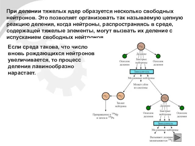 При делении тяжелых ядер образуется несколько свободных нейтронов. Это позволяет