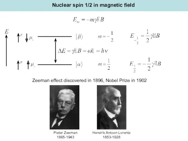 Nuclear spin 1/2 in magnetic field