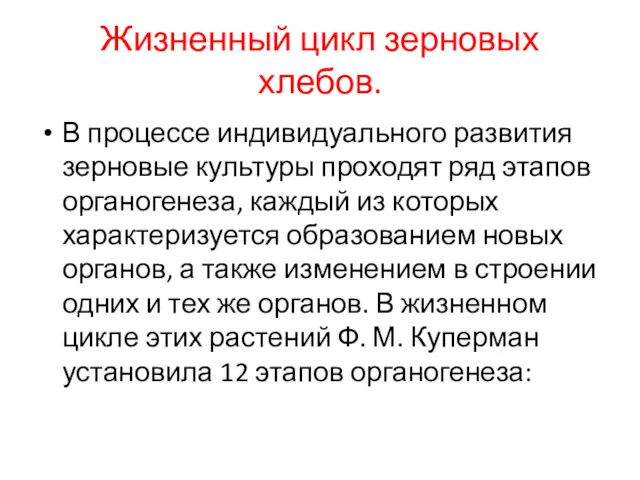 Жизненный цикл зерновых хлебов. В процессе индивидуального развития зерновые культуры