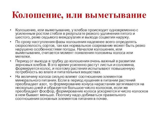 Колошение, или выметывание Колошение, или выметывание, у хлебов происходит одновременно