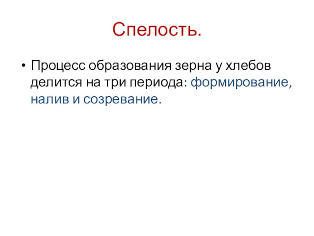 Спелость. Процесс образования зерна у хлебов делится на три периода: формирование, налив и созревание.