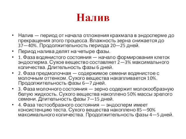 Налив Налив — период от начала отложения крахмала в эндосперме