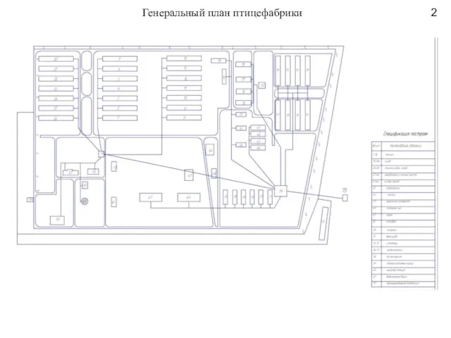 Генеральный план птицефабрики 2