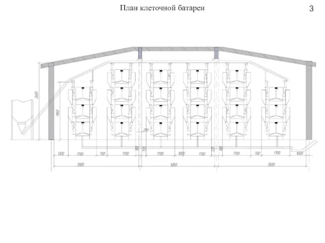 План клеточной батареи 3