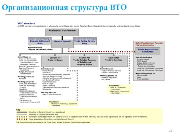 Организационная структура ВТО