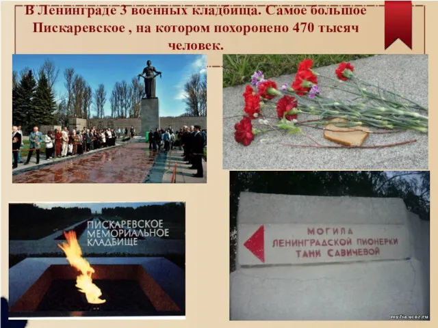 В Ленинграде 3 военных кладбища. Самое большое Пискаревское , на котором похоронено 470 тысяч человек.