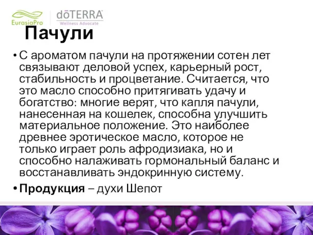 Пачули С ароматом пачули на протяжении сотен лет связывают деловой