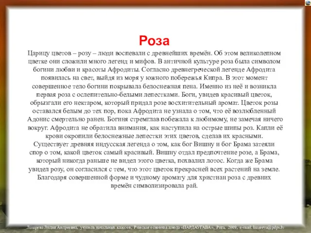 Роза Царицу цветов – розу – люди воспевали с древнейших времён. Об этом