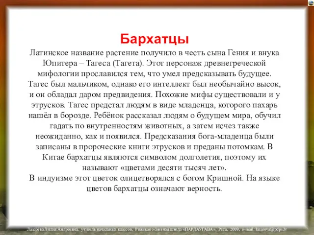 Бархатцы Латинское название растение получило в честь сына Гения и внука Юпитера –