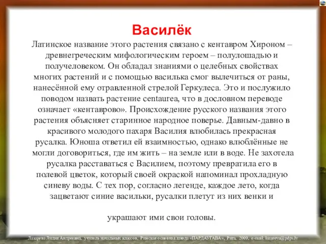 Василёк Латинское название этого растения связано с кентавром Хироном –