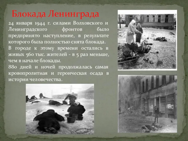 24 января 1944 г. силами Волховского и Ленинградского фронтов было