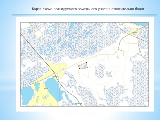 Карта-схема планируемого земельного участка относительно болот