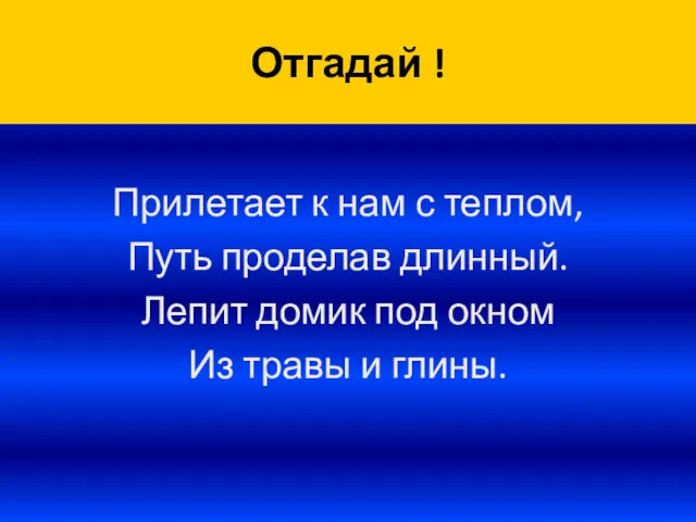 Отгадай ! Прилетает к нам с теплом, Путь проделав длинный. Лепит домик под