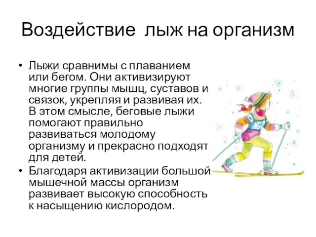 Воздействие лыж на организм Лыжи сравнимы с плаванием или бегом. Они активизируют многие