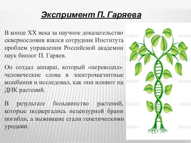 Экспримент П. Гаряева В конце XX века за научное доказательство