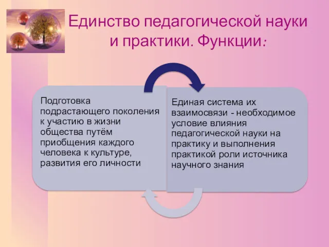 Единство педагогической науки и практики. Функции: